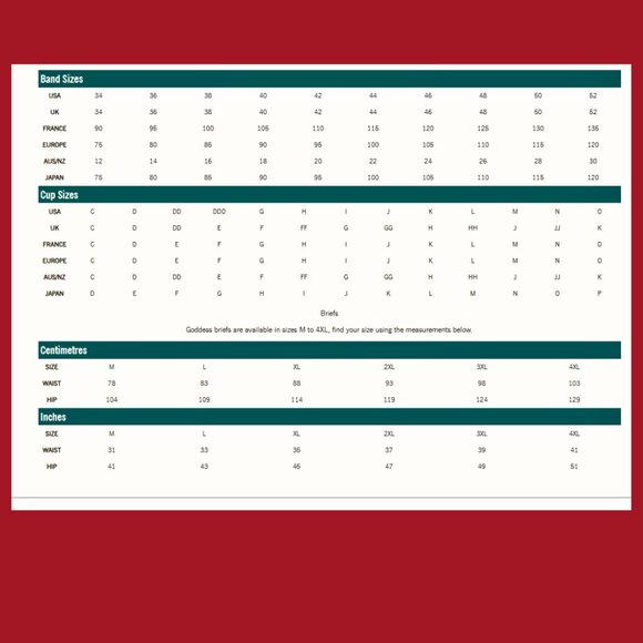 Goddess Corset Bustier – Black Lace with trim + Optional Garters NWT - Picture 7 of 8